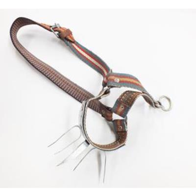 DİKENLİ DANA BAŞLIĞI KOLAN